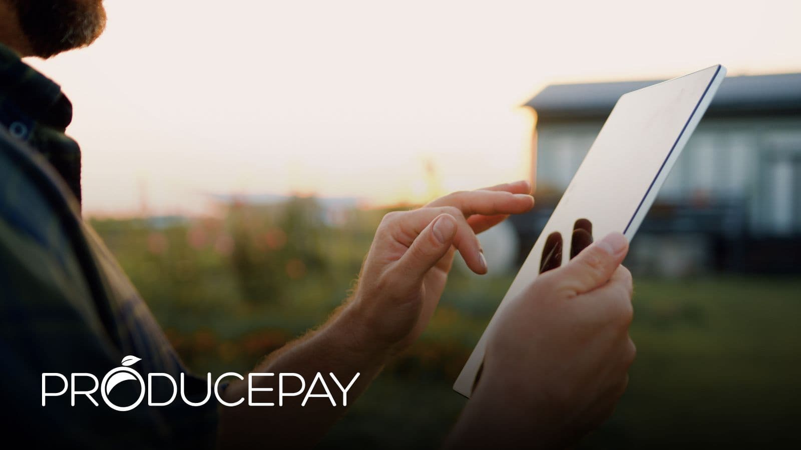ProducePay Powers Faster Payouts with Modern Treasury